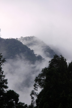 山間云霧