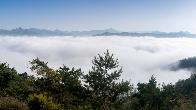 云海