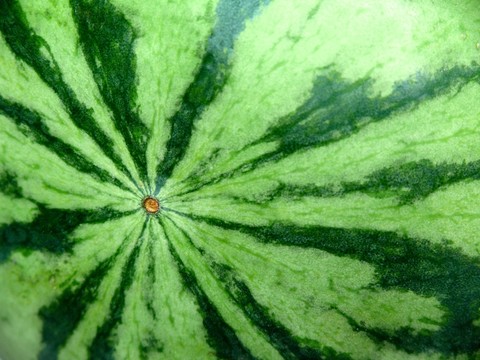 綠色西瓜圖案