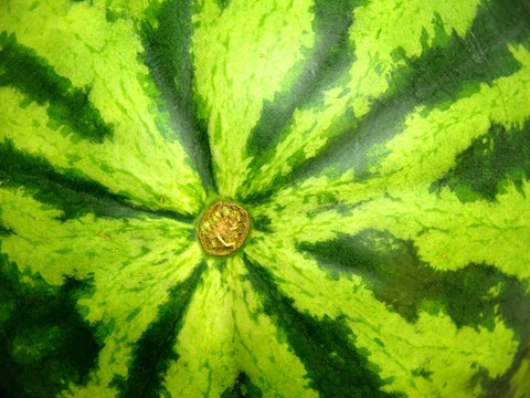 花皮西瓜圖案