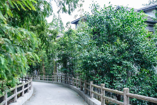 晨光1865創(chuàng)意產(chǎn)業(yè)園綠道