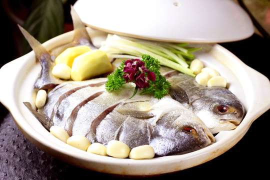 海鯧魚