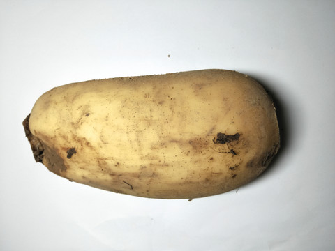 蓮藕蔬菜 高清實拍