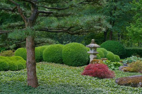 日本花園