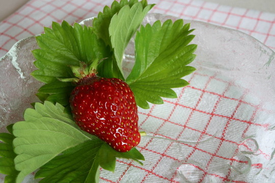 草莓