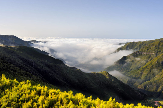 山