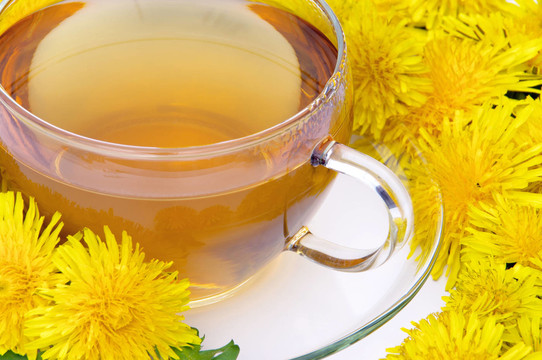 蒲公英茶蒲公英茶07