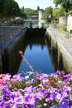 橋