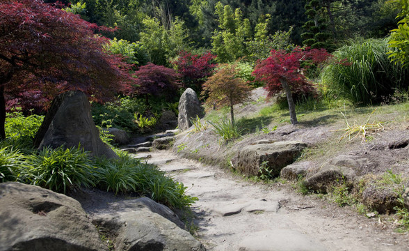 公園