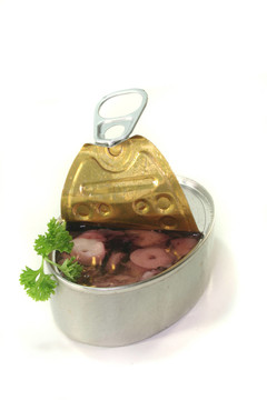 可魷魚