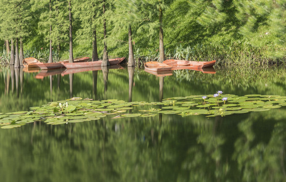 廣州麓湖公園