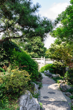 園林景觀