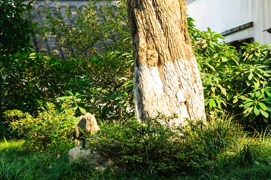 園林景觀