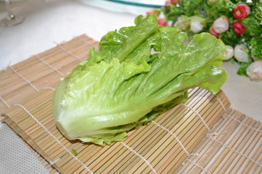 生菜