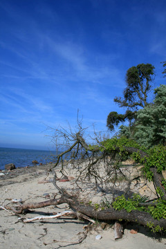 steilkste