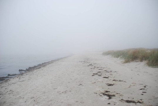 陸地上的海岸霧