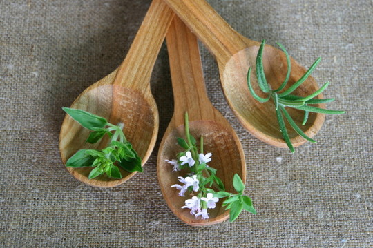 草本植物