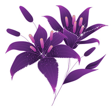 花卉