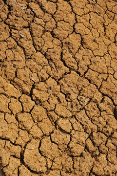dirt