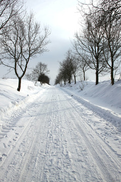 winter
