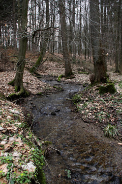 waldbach