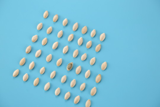 南瓜子炒貨零食攝影瓜子