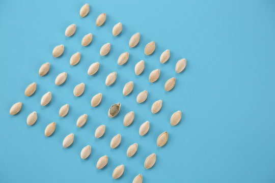 南瓜子炒貨零食攝影瓜子