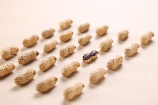 炒貨花生攝影美食