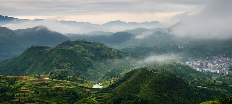 茗岙風(fēng)光