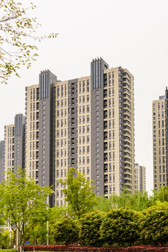 住宅樓