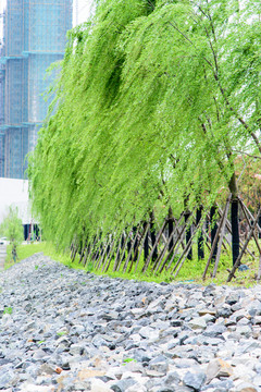 青奧文化體育公園景觀