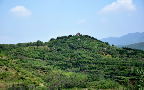 翠綠的山嶺植被