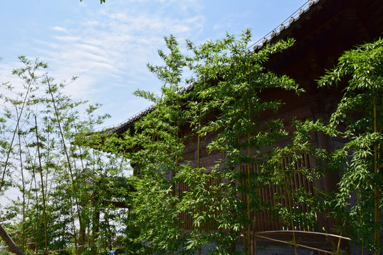 藍(lán)天竹林古建筑