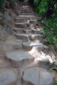 樹(shù)樁形狀道路鋪設(shè)