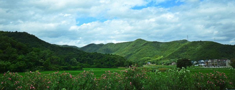 稻田和遠山風景圖