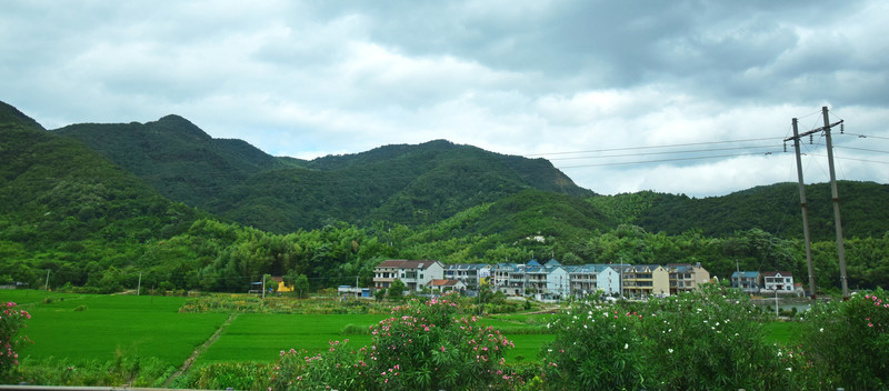 稻田和山脈自然風(fēng)景