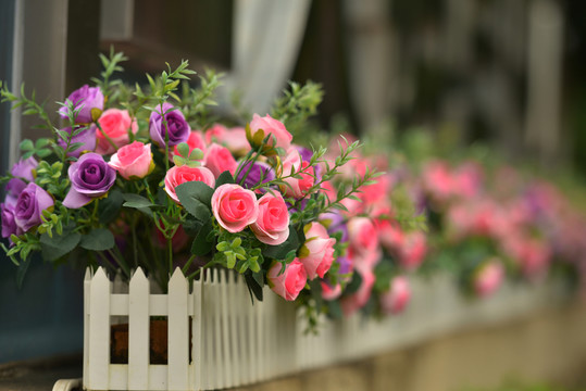 花卉