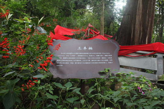 鶴鳴山 道源圣城
