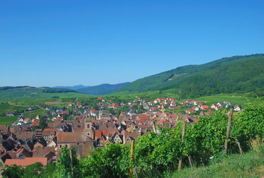 旅行