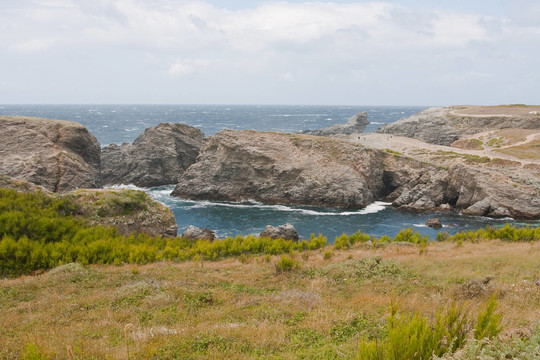 252 poulains Pointe des