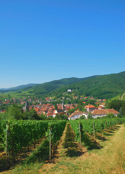 weindorf希波維爾阿爾薩斯