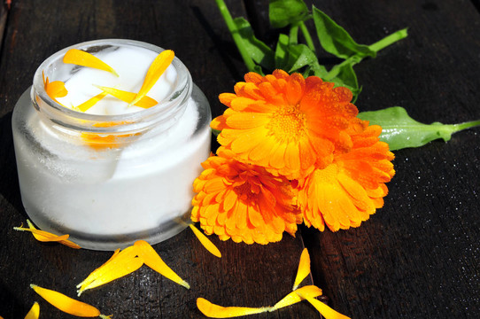 naturheilkunde植物金盞花
