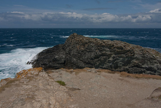296 poulains Pointe des