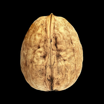 核桃核桃核桃