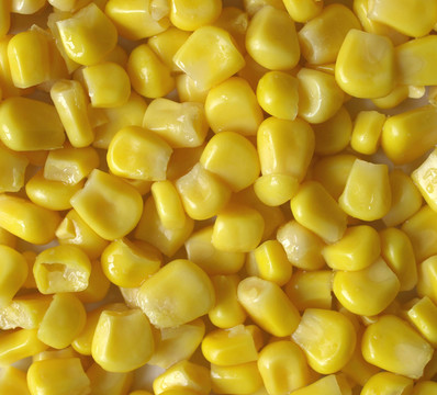 農(nóng)業(yè)