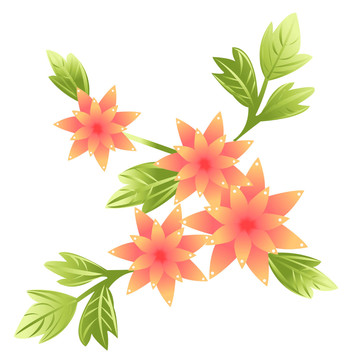 花卉