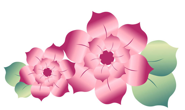 花卉