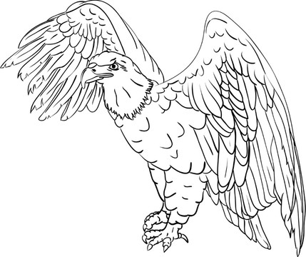 插圖