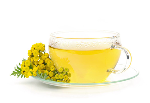 茶艾菊茶艾菊01
