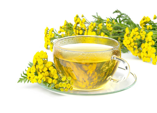 艾菊茶茶艾菊02